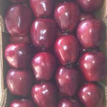 The Best Quality Of Red Delicious apple