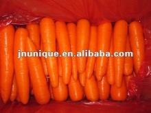 2012 china new crop fresh red carrot for sale