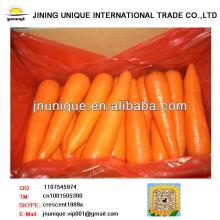 2013 china new crop bulk fresh carrot