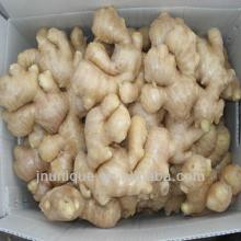Large farms for sale ginger