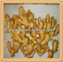 export of agriculture products,new fresh ginger