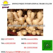  2013   new   crop  EU market half dry  ginger 