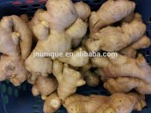Air-dried ginger hot sale with market price