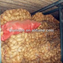 Potato in reefer containers