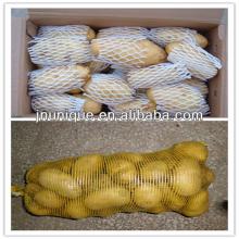 sale high quality long fresh holland potato factory