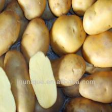 chinese frozen sweet potato 2013 new crop