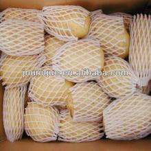 Cold storage fresh potato vegetable