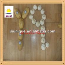 hot sale fresh yellow holland potato factory