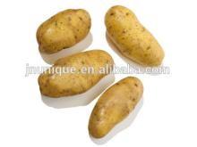 2014 Shandong fresh vegetables fresh potato