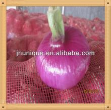 2013 fresh red yellow all size onion new arrival