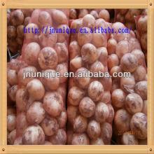 2013 fresh red yellow onion export to all over the world