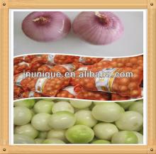 2013 fresh factory supplier red/ yellow onion