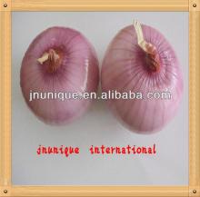 hot sell new arrival fresh round red-yellow-golden onion