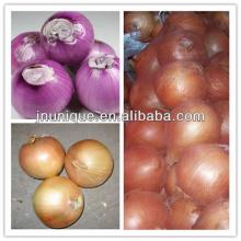  2013  new  crop  fresh yellwo/red  onion 