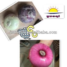 china crop 2013 fresh red yellow onion