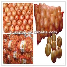 2013 new crop China wholesale fresh yellow onion