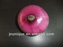 2013 new crop fresh red  onion   white   onion  exporters
