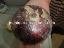 chinese fresh yellow red onion in bulk