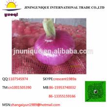 Gan su 5-7cm new red/yellow 2014 sichuan fresh onion