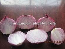 wholesale fresh onion in bulk,2014 new crop