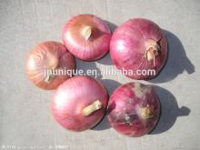 Round Ball Yellow Onion Wholesale Exporter
