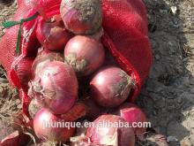 Gansu Nature Whole Red Onions