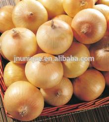 2014 CHINESE FRESH ONION FOR EXPORT