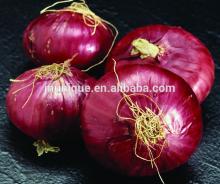 2014 Red Fresh Onion Are hot selling in China