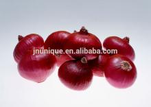 Gansu Fresh Yellow/Red Onion 2014 new crop