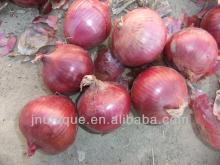 Chinese fresh onion with varity size,packing,price!! Hot sale !!!
