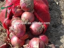 With HACCP Certificate Bulk Fresh Onion