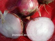 2014 seasonable fresh red onions in bulk