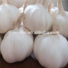 wholesale fresh garlic specification (4.5-6.5cm) export to dubai