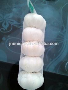 Chinese snow white natural garlic exported to dubai