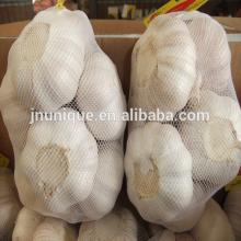 To  buy   direct   China  fresh natural garlic price 2014