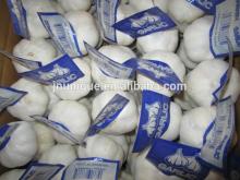 Small  net   mesh  bags wholesale natural garlic direct suppliers from China