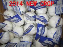 Exporters of agricultural products fresh vegetables natural garlic specification