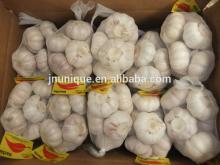 wholesale super quality fresh garlic price export to Dubai