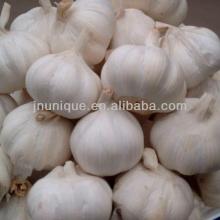natural garlic fresh garlic with abundant flavor,hot sale