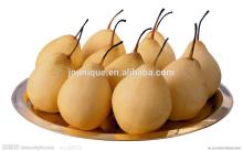 New arrival good taste fresh pear hot sale
