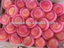 2013 china  best   price   fuji   apple 
