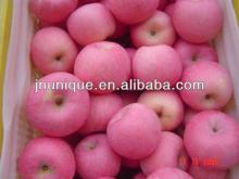china yantai apples to applesauce