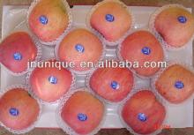 china  apple   gala 