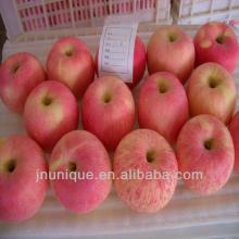 fresh best dates fruit