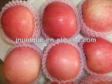 yantai fresh red crispy  fuji   apple   18kg / ctn 