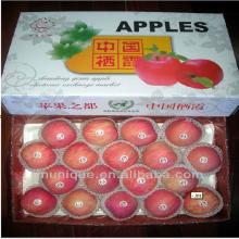 2013 New Crop Fresh Apple