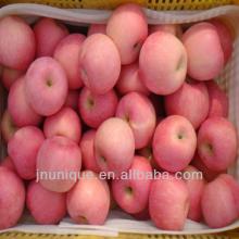 sweet china  fresh  big apple  fruit , fresh   cocoa   fruit s for sale