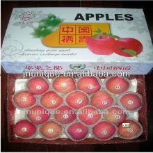chinese fresh red apple fruit