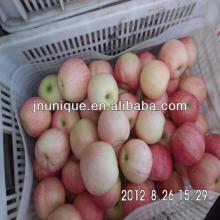 Fresh Red Crispy Delicious Gala Apple