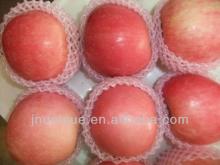 fresh fuji apple  fruit  price,apple  fruit   trading  companies